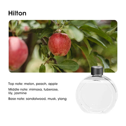 Desktop Diffuser Smart Air Purifier