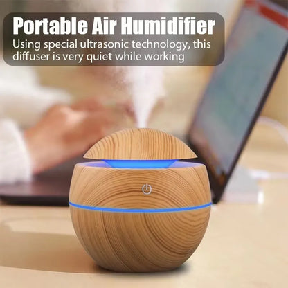 Ultrasonic Cool Mist Sprayer Humidifier